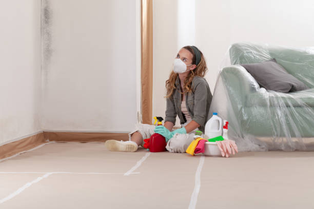 Reliable Black Mold Remediation contractor in Elm City, NC by Mold Remediation HQ